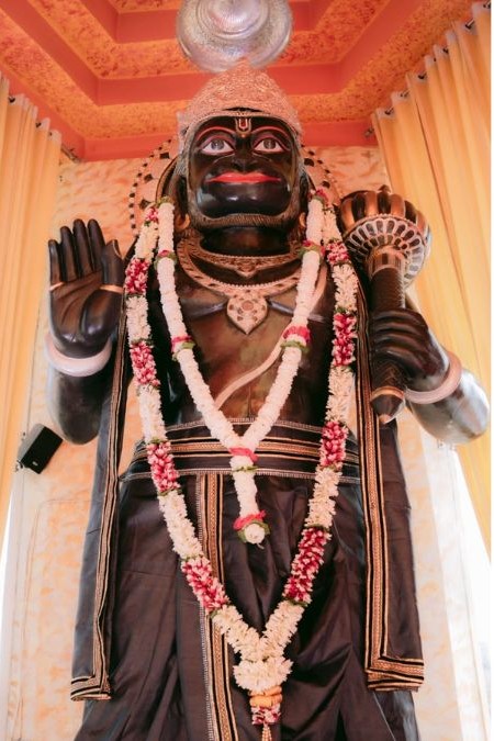 naidunia_image